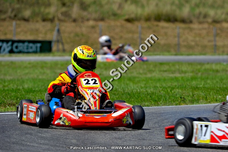 DSC_ (1470).jpg